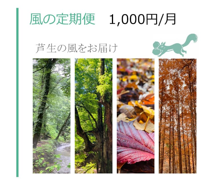 芦生山の家 サブスク定期便 森の恵み定期便